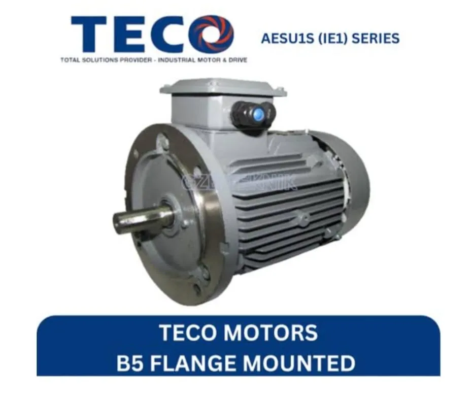 TECO B5 Flange Maunted